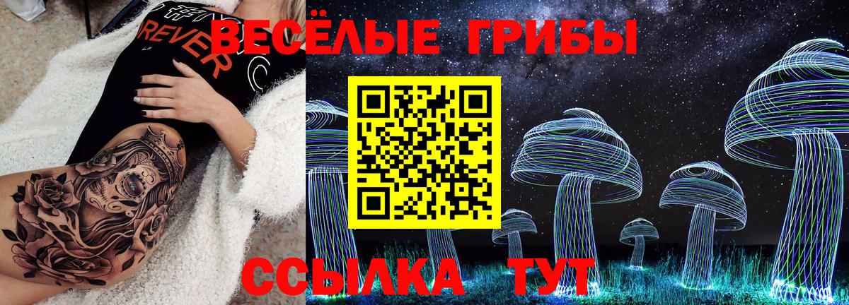 Галлюциногенные грибы Psilocybine cubensis  Вход с VPN  Тихвин 